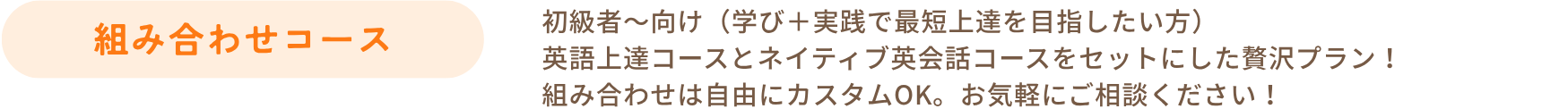 組み合わせコース